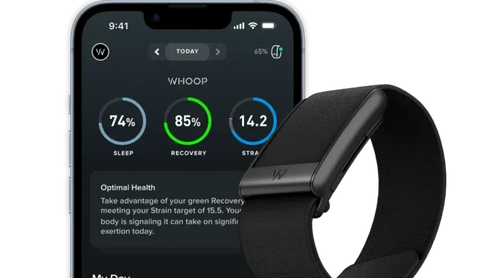 5.0 WHOOP – Band Ash Grey (12 Months Subscription Included)