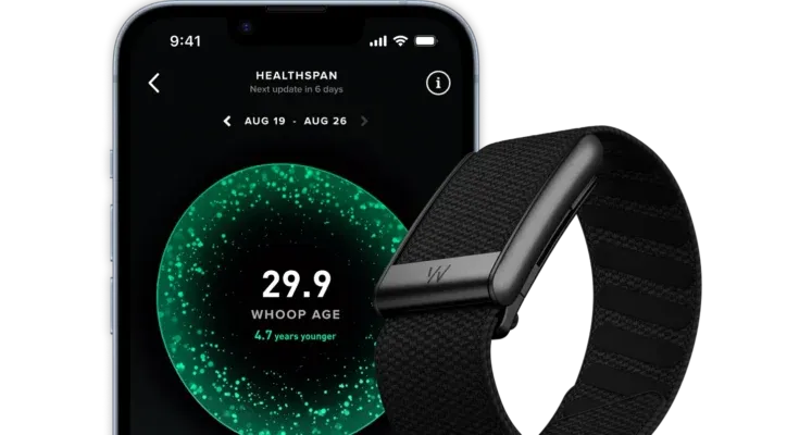 5.0 WHOOP – Band Ash Grey (12 Months Subscription Included)