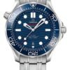Seamaster Diver 300M, 42 mm Steel On Steel